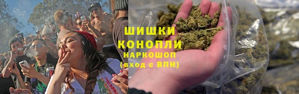 индика Волоколамск