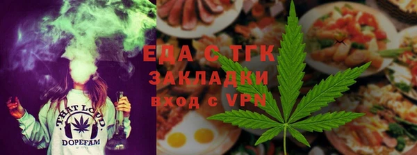 индика Волоколамск