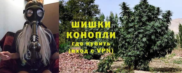 индика Волоколамск