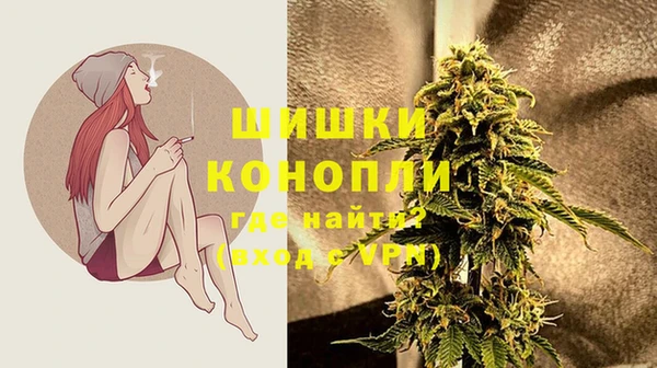 индика Волоколамск