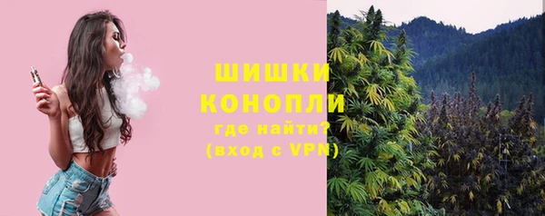 индика Волоколамск