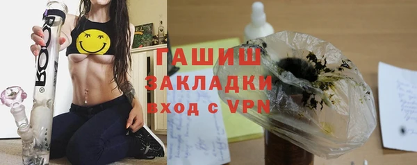 индика Волоколамск