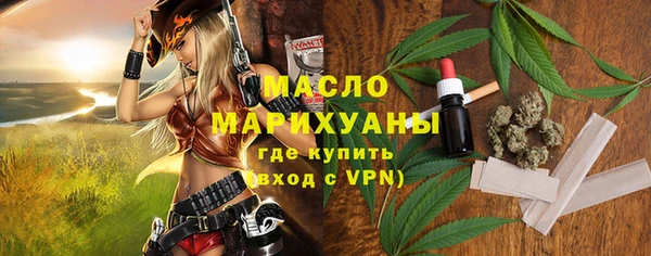 индика Волоколамск