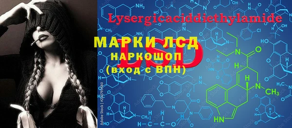 индика Волоколамск